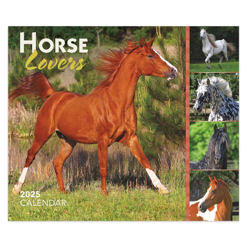 image Horse Lovers 2025 Desk Calendar Main Image