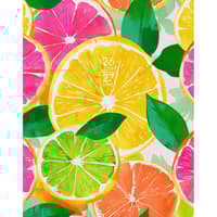 image Citrus Squeeze Academic 2027 Pocket Planner