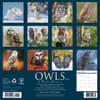 image Owls 2026 Wall Calendar First Alternate Image