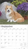 image Welsh Corgis Deluxe 2025 Wall Calendar September