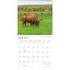 image Oklahoma Wild and Scenic 2027 Wall Calendar Second Alternate Image