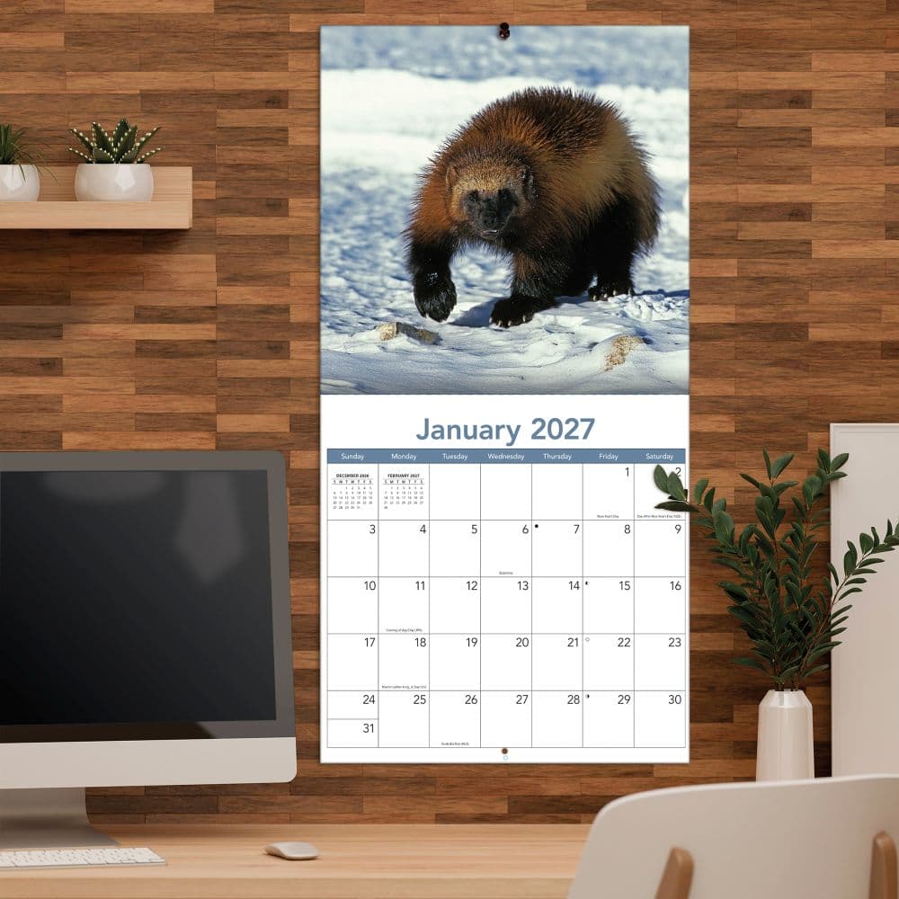 Wildlife 2027 Wall Calendar Fifth Alternate Image