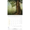 image Deep Forest 2025 Wall Calendar Fourth Alternate Image width=&quot;1000&quot; height=&quot;1000&quot;