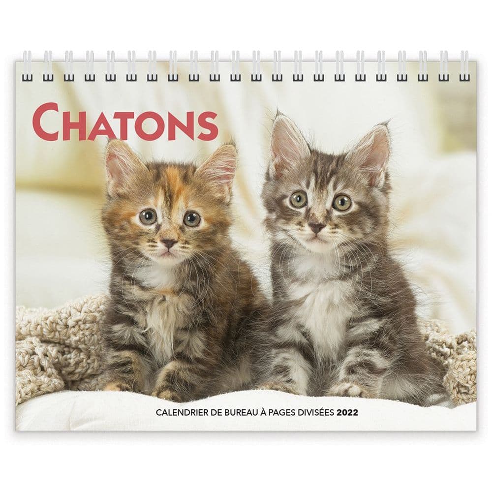 Calendrier Chatons 2023 Chatons Double 2022 Easel Calendar (French) - Calendars.com