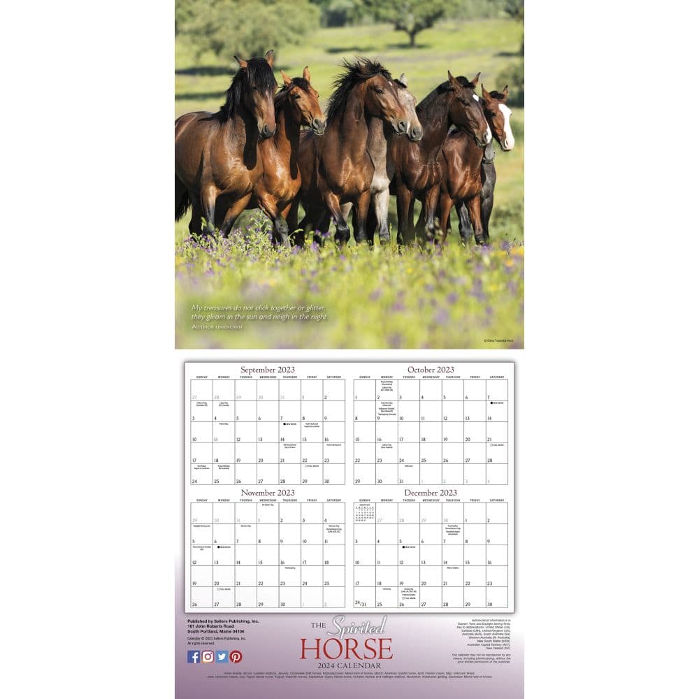 Spirited Horse 2024 Wall Calendar Alternate Image 4