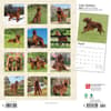 image Irish Setters 2024 Wall Calendar First Alternate Image width=&quot;1000&quot; height=&quot;1000&quot;