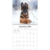 image Playful Puppies Photo 2026 Mini Wall Calendar_ALT2