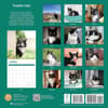 image Tuxedo Cats 2024 Wall Calendar