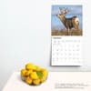 image Monster Bucks 2025 Wall Calendar Fourth Alternate Image