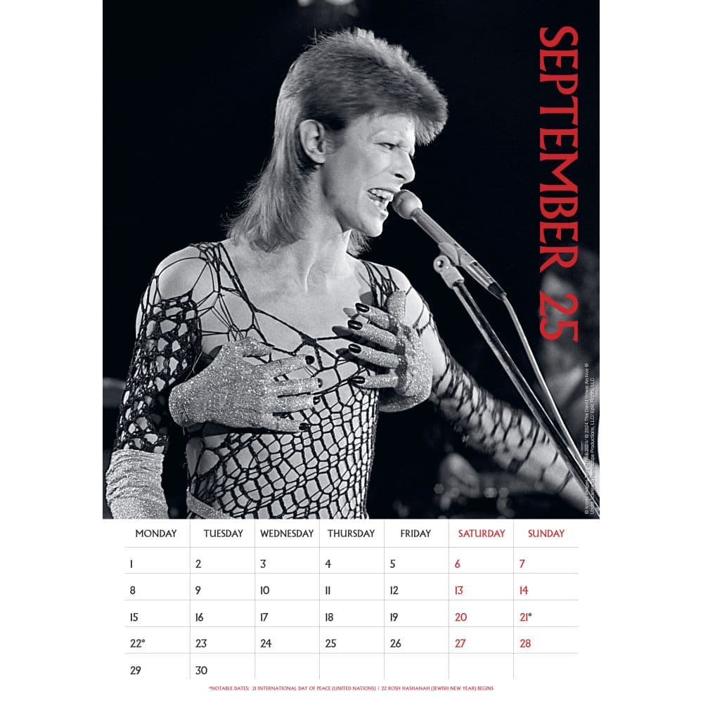 David Bowie Poster 2025 Wall Calendar Third Alternate Image