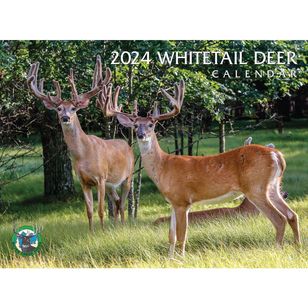 Whitetail Deer Calendar 2024 Orly Tracie