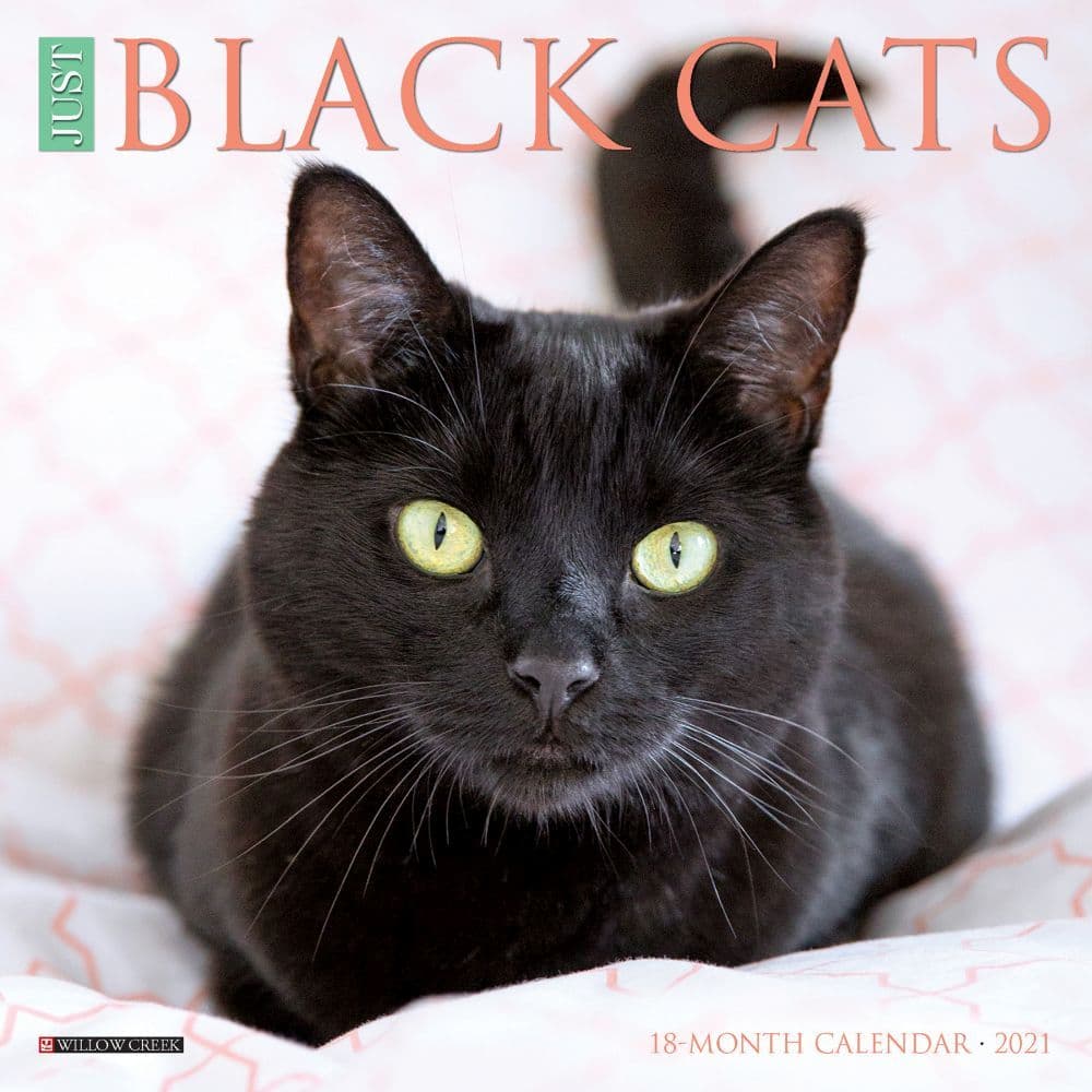 Black Cats Mini Wall Calendar
