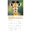 image Baby Animals Special Value 2026 Mini Wall Calendar Fourth Alternate Image