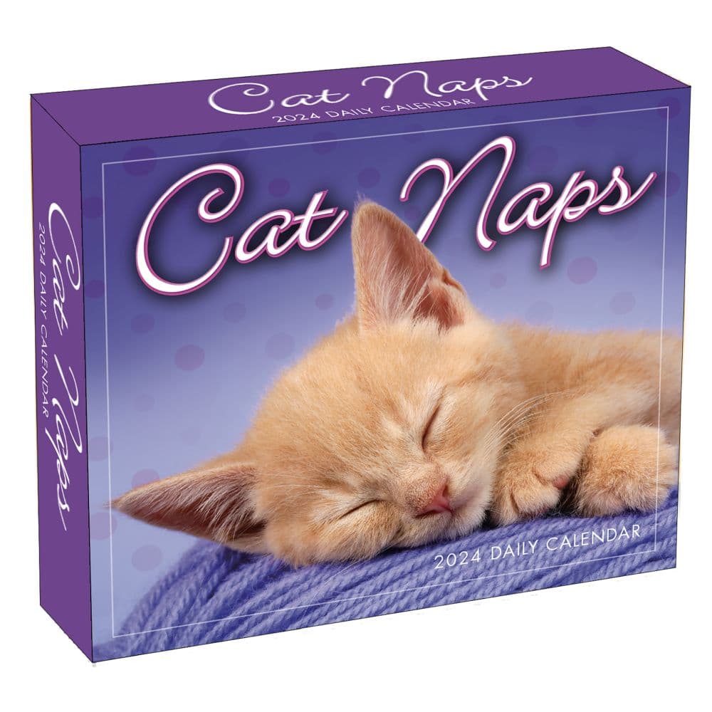 Cat Naps 2024 Desk Calendar Main Product Image width=&quot;1000&quot; height=&quot;1000&quot;