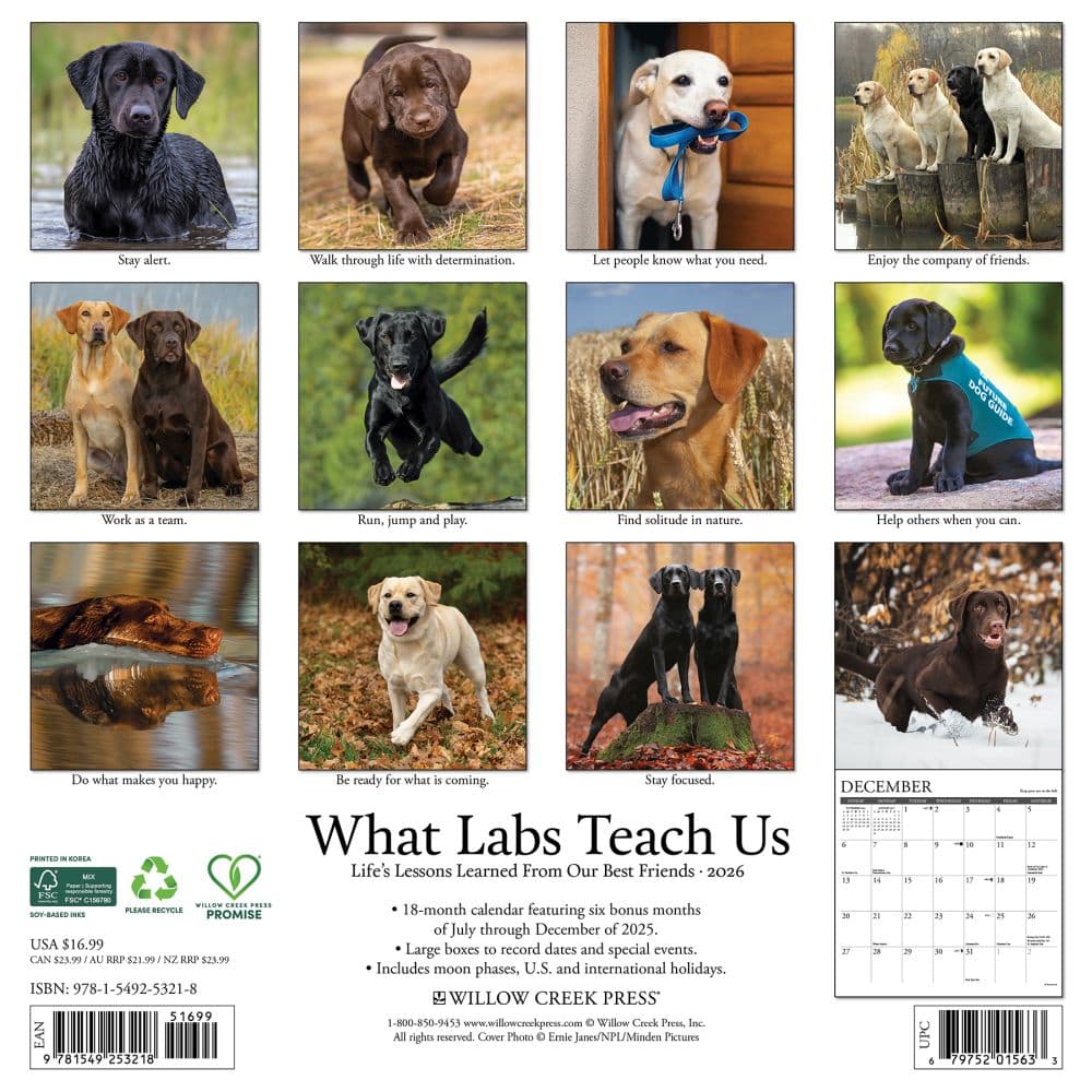 What Labs Teach Us 2026 Wall Calendar First Alternate Image