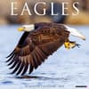 image Eagles 2025 Wall Calendar Main Product Image width=&quot;1000&quot; height=&quot;1000&quot;