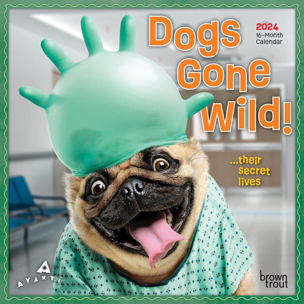 Avanti Dogs Gone Wild 2024 Mini Wall Calendar - Calendars.com