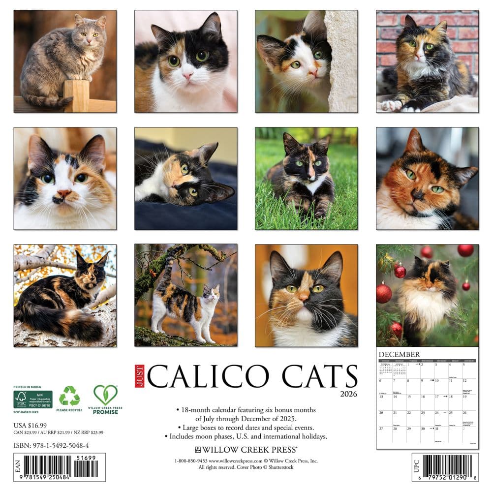 Calico Cats 2026 Wall Calendar First Alternate Image