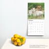 image Lions 2025 Wall Calendar Fourth Alternate Image