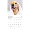 image 12 Uses for a Golden 2025 Wall Calendar