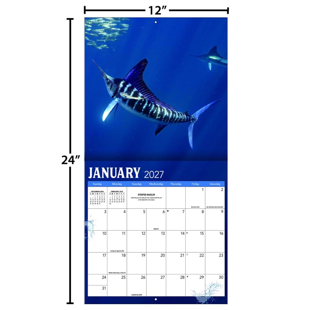 Fish On 2027 Wall Calendar Fourth Alternate Image