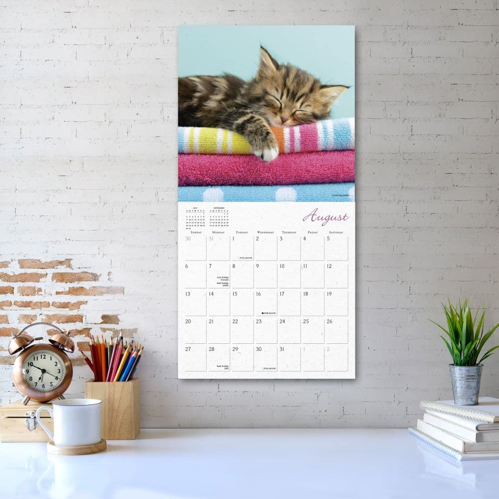 Cat Naps 2023 Wall Calendar - Calendars.com