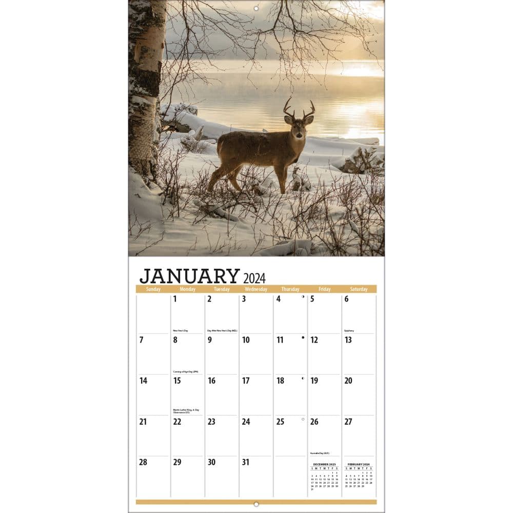 2024 Deer Movement Calendar Fifi Alberta