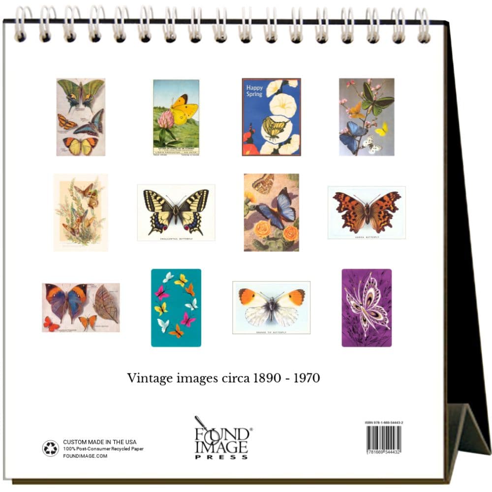 Butterflies 2025 Easel Desk Calendar First Alternate Image width="1000" height="1000"