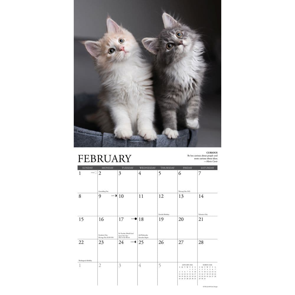 Cat Rules 2026 Wall Calendar Second Alternate Image
