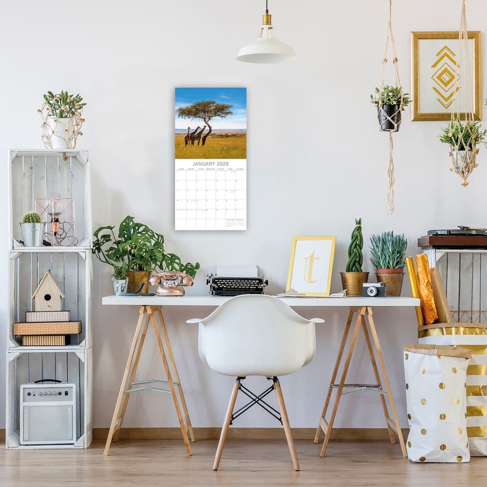 Safari 2026 Wall Calendar Second Alternate Image