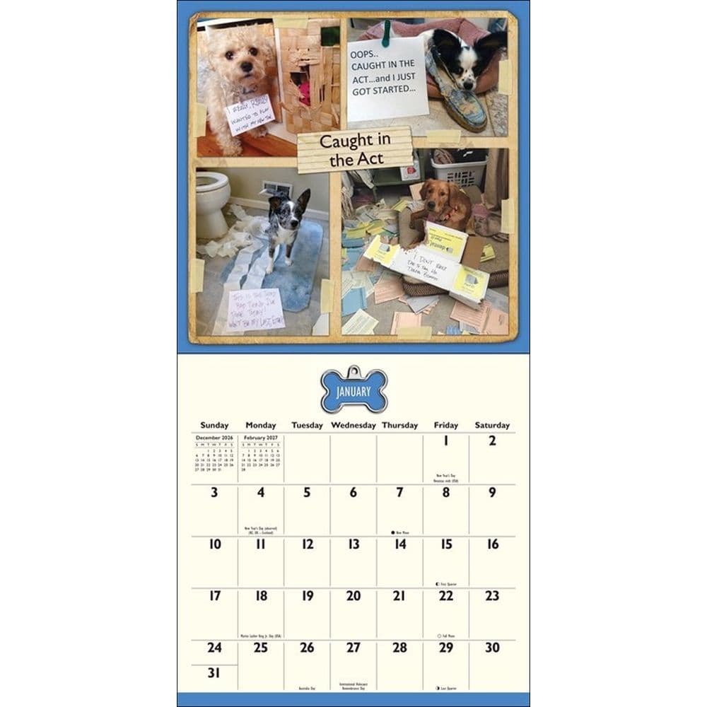 Dog Shaming 2027 Wall Calendar Second Alternate Image
