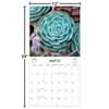 image Succulents Photo 2025 Wall Calendar Fifth Alternate Image