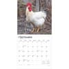 image Roosters 2025 Wall Calendar Third Alternate Image