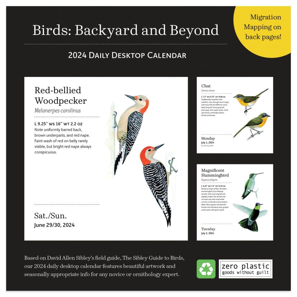 Birds Backyard And Beyond 2024 Desk Calendar Alternate Image 1