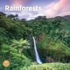image Rainforests 2024 Wall Calendar