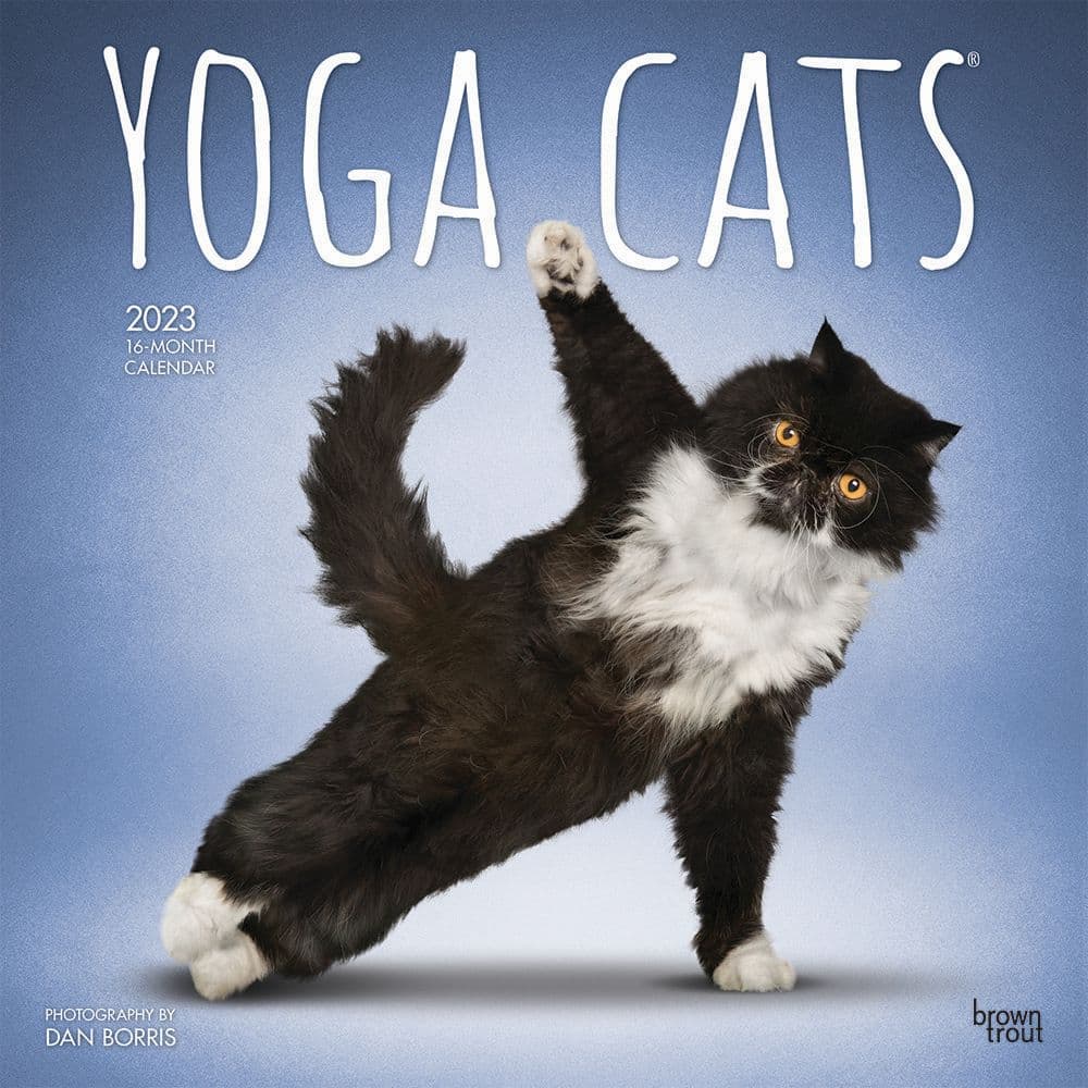 BrownTrout Yoga Cats 2023 Square Wall Calendar
