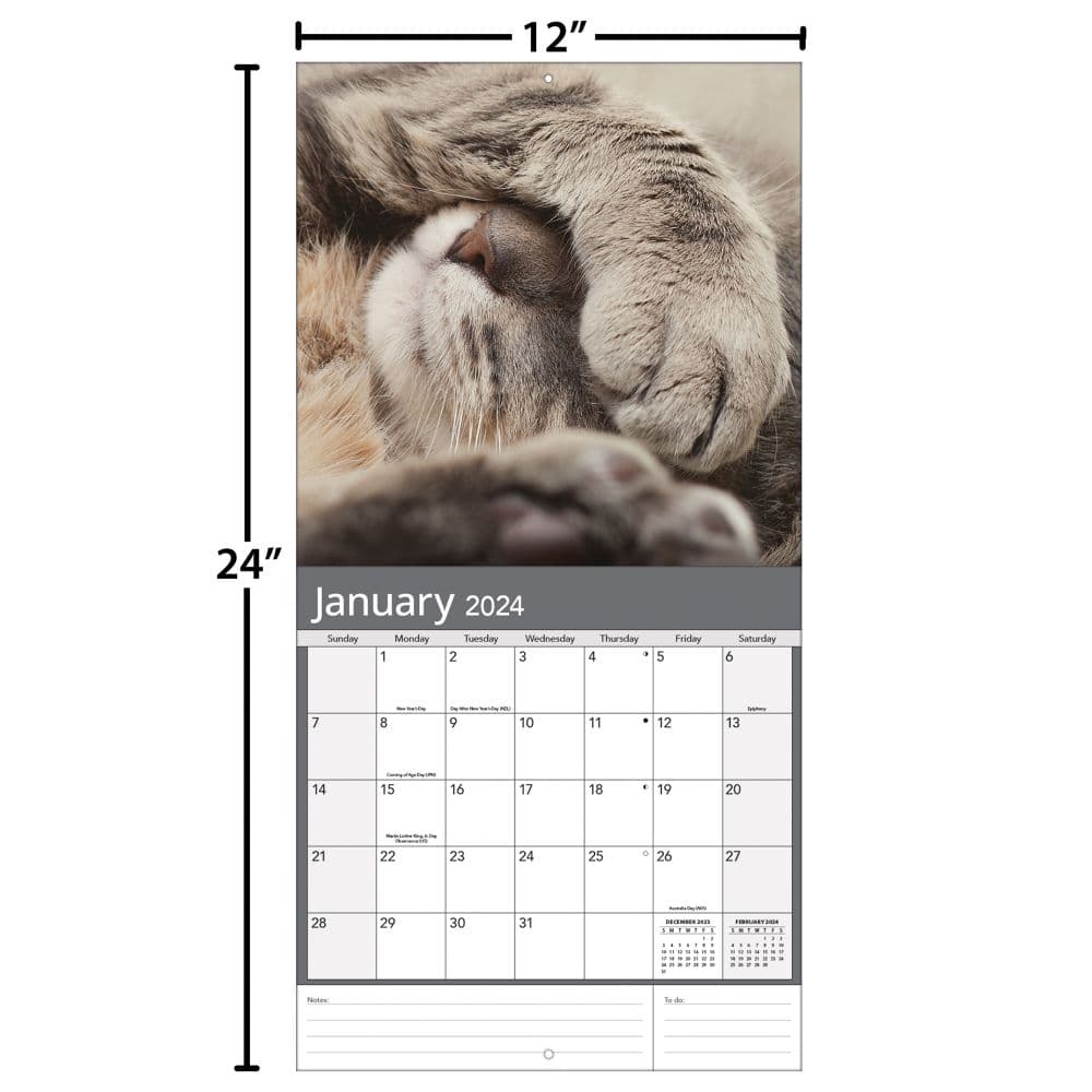 Cats Photo 2024 Wall Calendar Alternate Image 4