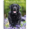 image Labs What Labs Teach Us 2025 Engagement Planner Main Image