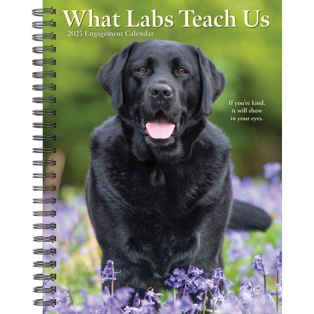 Labs What Labs Teach Us 2025 Engagement Planner Main Image