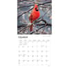 image Songbirds 2024 Wall Calendar Alternate Image 2