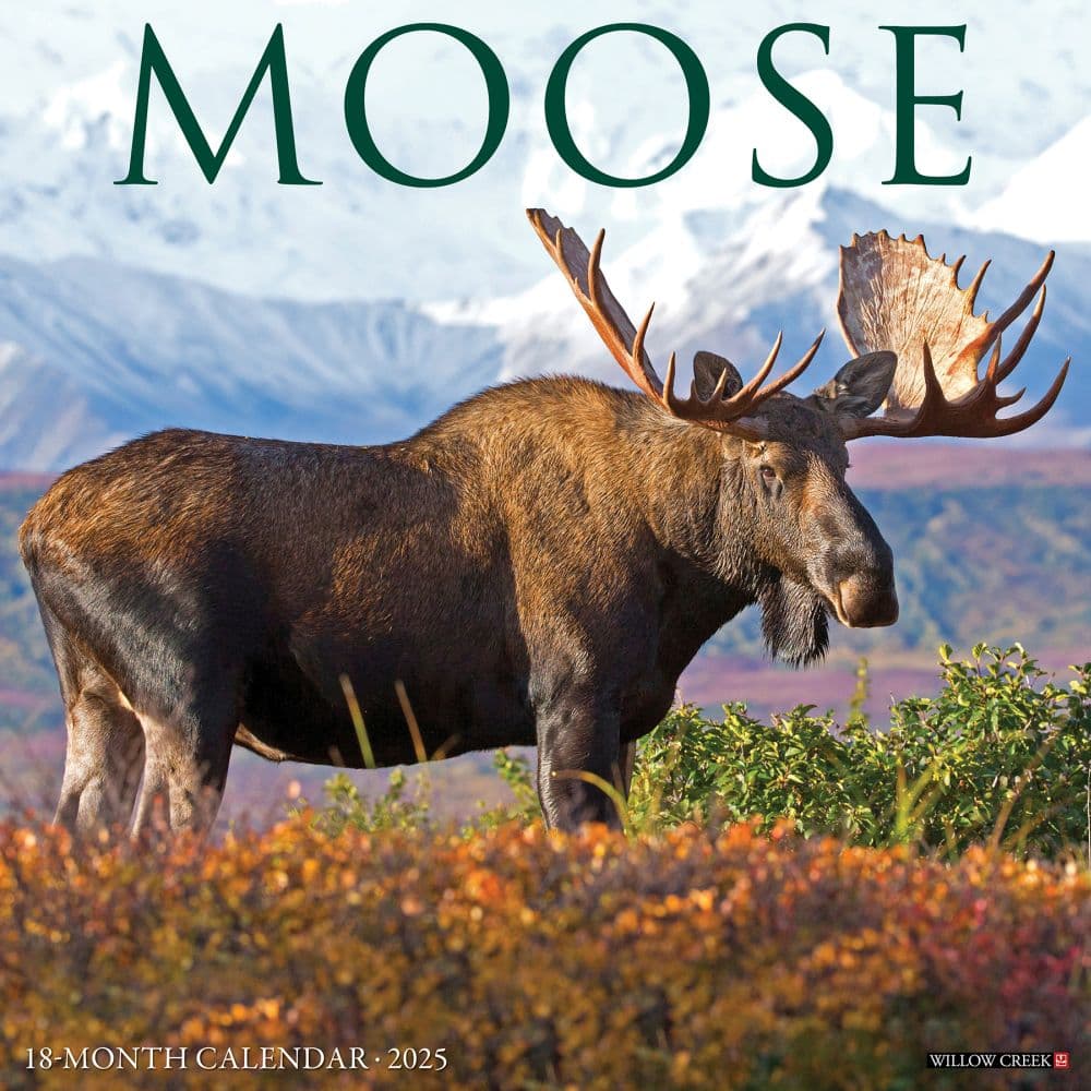 Just Moose 2025 Wall Calendar Main Image