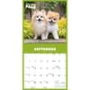 image Boo 2026 Wall Calendar Third Alternate Image