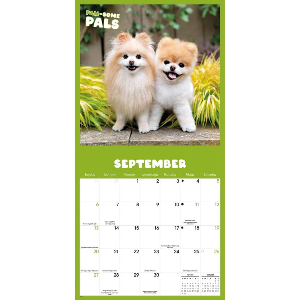 Boo 2026 Wall Calendar Third Alternate Image