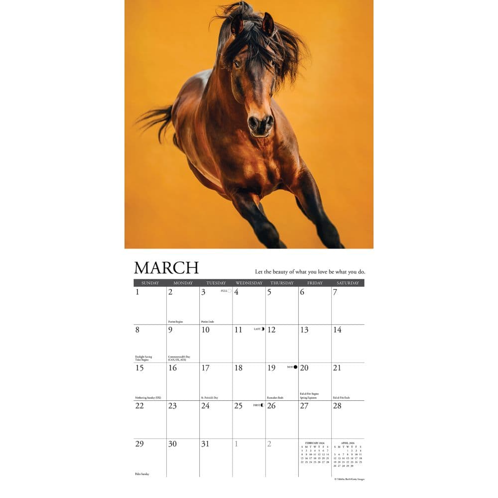 What Horses Teach Us 2026 Mini Wall Calendar Second Alternate Image