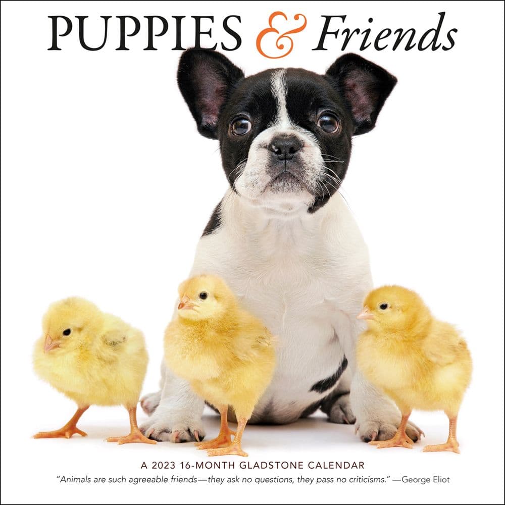 Gladstone Media Puppies & Friends 2023 Wall Calendar