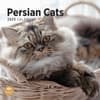 image Persian Cats 2025 Wall Calendar Main Image