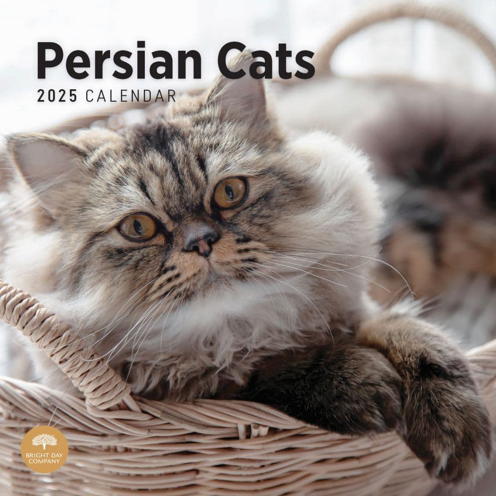 Persian Cats 2025 Wall Calendar