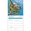 image Sea Turtles 2025 Mini Wall Calendar Second Alternate Image width="1000" height="1000"