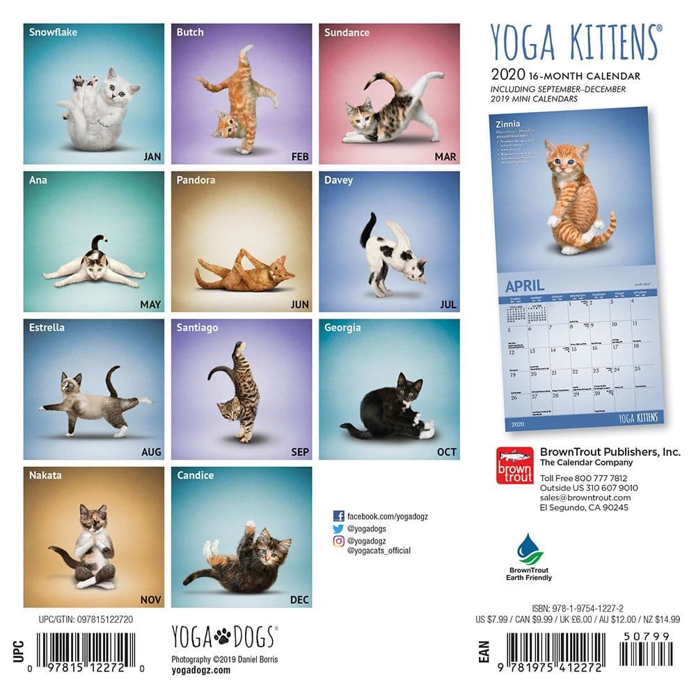 Yoga Kittens Mini Wall Calendar