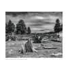 image Lands of the Navajo 2026 Wall Calendar Second Alternate Image